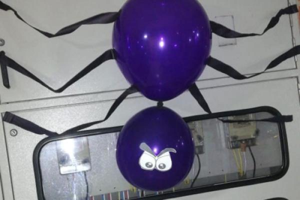 Halloween 2020-2